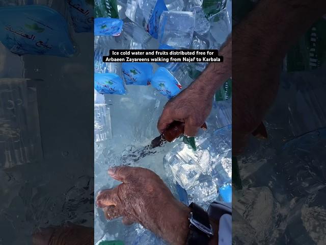 Ice cold water and fruits distributed for Arbaeen zayareens walking from Najaf to Karbala #video