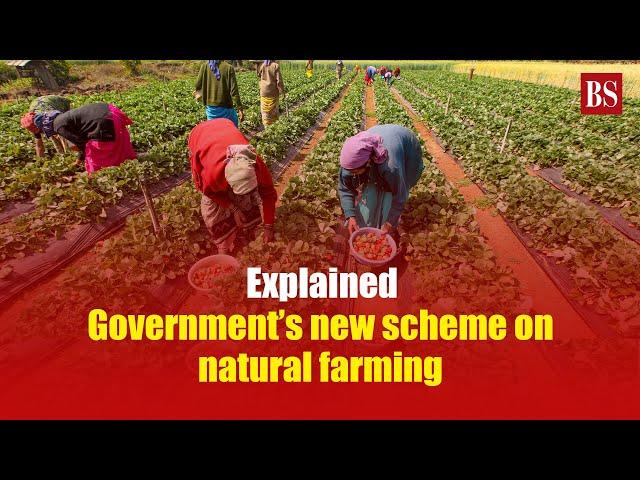 Explained: Government’s new scheme on natural farming | Agriculture