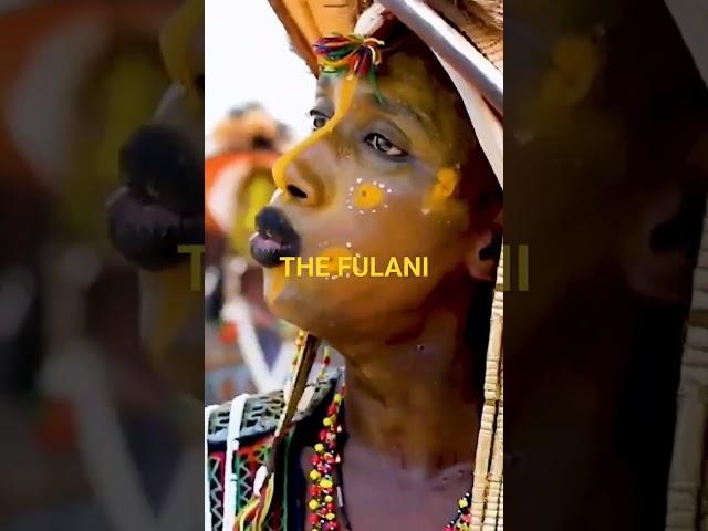 The Fulani African Nomads #shorts