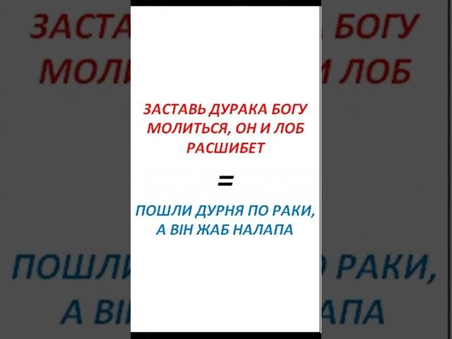 Як сказати українською «Заставь дурака богу молиться, он и лоб расшибет» #прислів #приказки