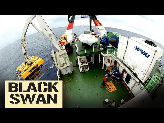 The $500,000,000 Salvage of The Black Swan