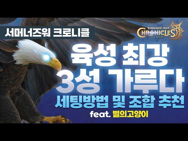 (서머너즈 워: 크로니클 ) 육성 1티어 3성 가루다 세팅 방법 및 조합 추천