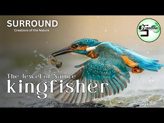 The Kingfisher(The Jewel of Nature) #Animal World #Creations of the Nature #AI Powered @SURROUND