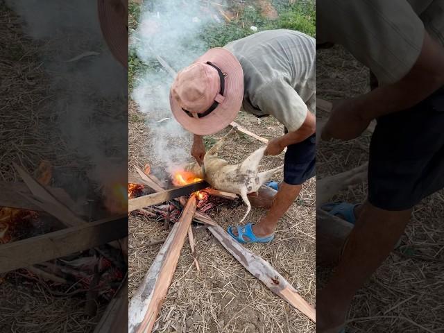 Grandpa good at cooking spacial Meat Dogs And so yummy