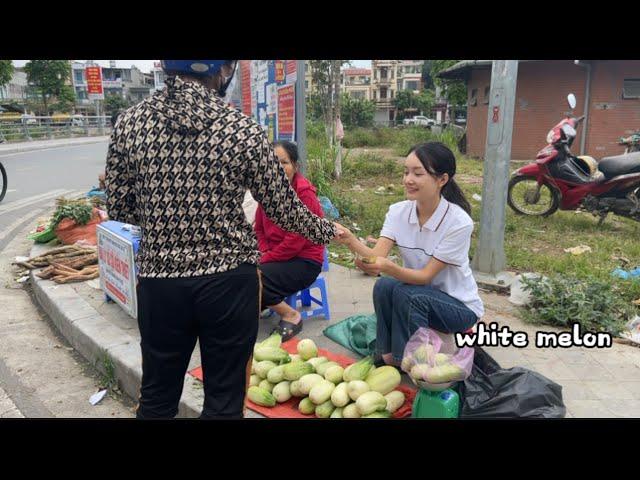 越南姑娘去山上採收白瓜帶去市場￼銷售。