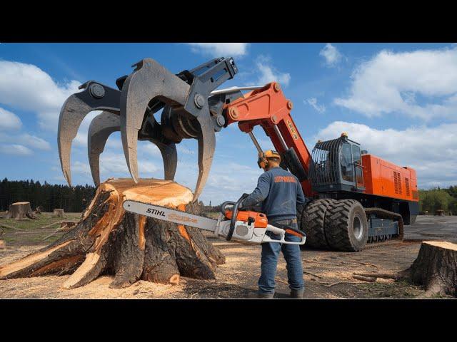 Extreme Dangerous Monster Stump Removal Excavator | Fastest Big Chainsaw Tree Cutting Machines #2