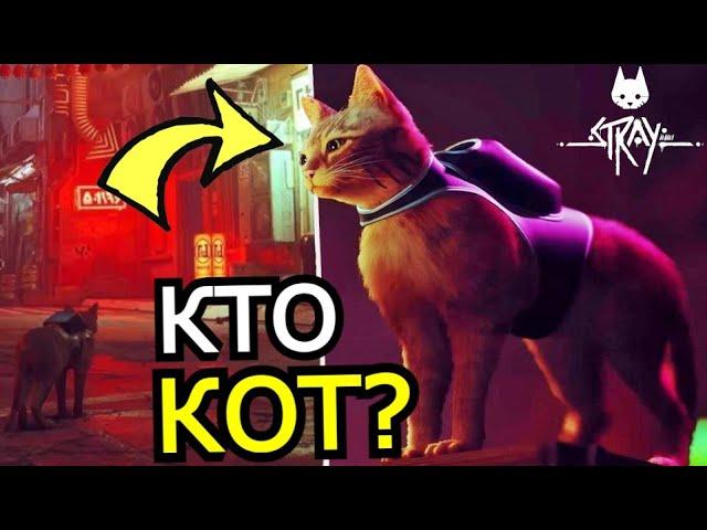 КТО ТАКОЙ КОТ из Stray? Способности, слабости, скрытые детали