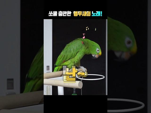 감정 좋고!!! 바이브레이션 좋고!!  소울이 넘쳐 흐르는 별이 노래!!
