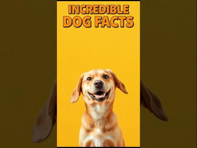 "Incredible Dog Facts You Didn't Know! "