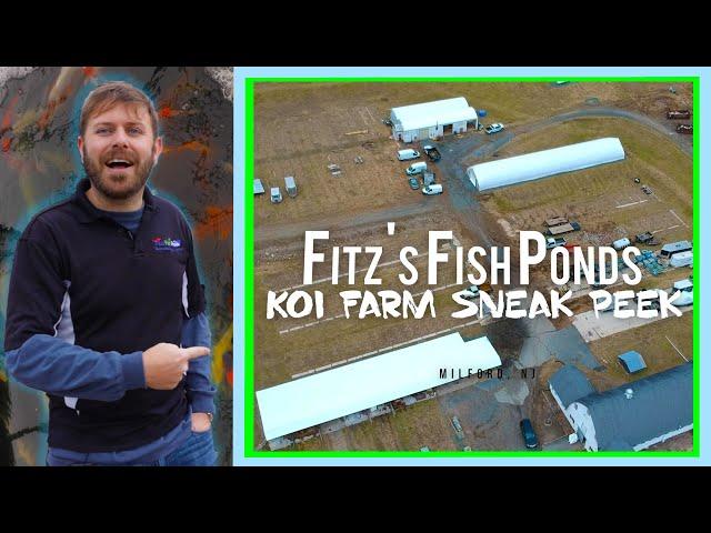 We Bought the Farm! Imported Koi from Japan. Farm Tour!