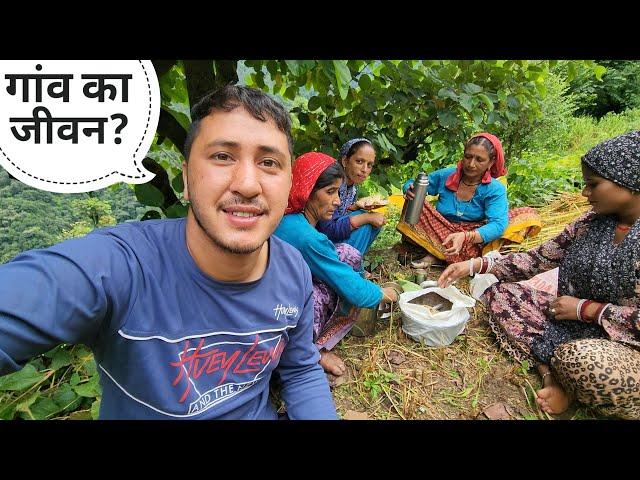 आज सभी घर वालों ने खेत में ही खाना खाया || Pahadi Lifestyle Vlog || Cool Pahadi