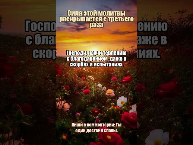 Молитва при душевной тревоге #тревога #надежда #молитвы