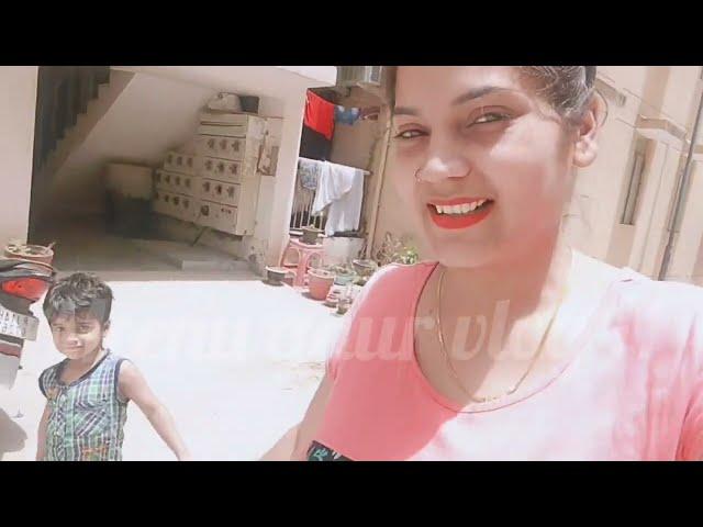 Aaj gaye Sabhi Golgappe Khane||family Masti||Daily Routine Vlog @meenugaurvlog11