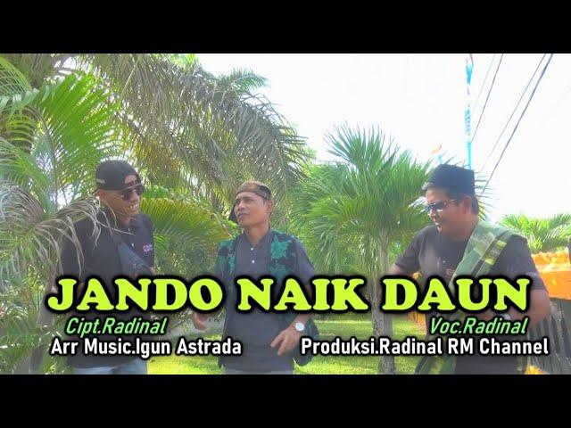 lagu daerah jambi terbaru || JANDO NAIK DAUN || RADINAL - Official music video