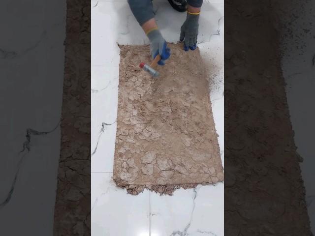 Compalate Satisfaction in 40 seconds!satisfying carpet cleaning.