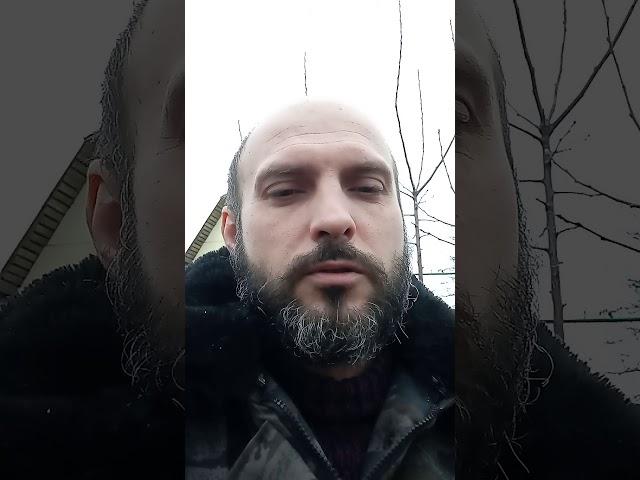 Теплица из стрейч пленки.