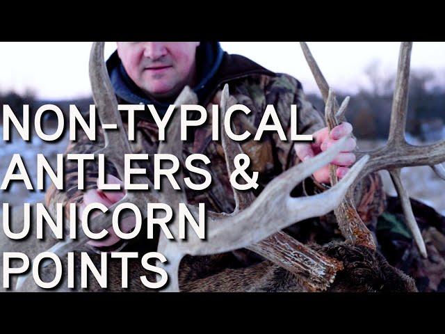 Non Typical Antlers & Unicorn Points | How Bucks Grow Them