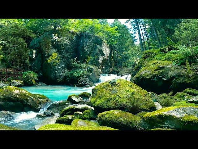 Full Nature Sound Brain Therapy, Sleep Relaxation, Insomnia, Difficulty Focusing and Stress