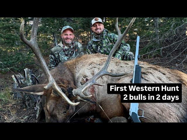 My First Western Elk Hunt: 2 Bulls in 2 Days