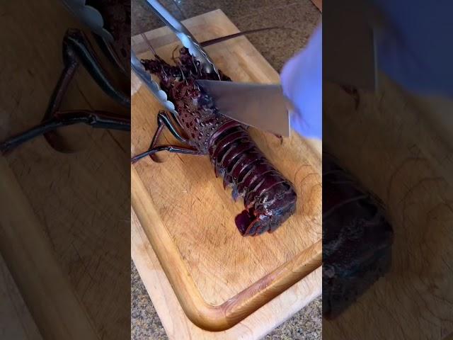 How to humanely break down a lobster #lobster #livelobster #seafood #cooking