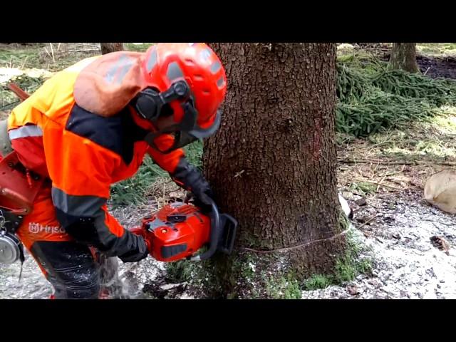 Husqvarna 572XP Chainsaw