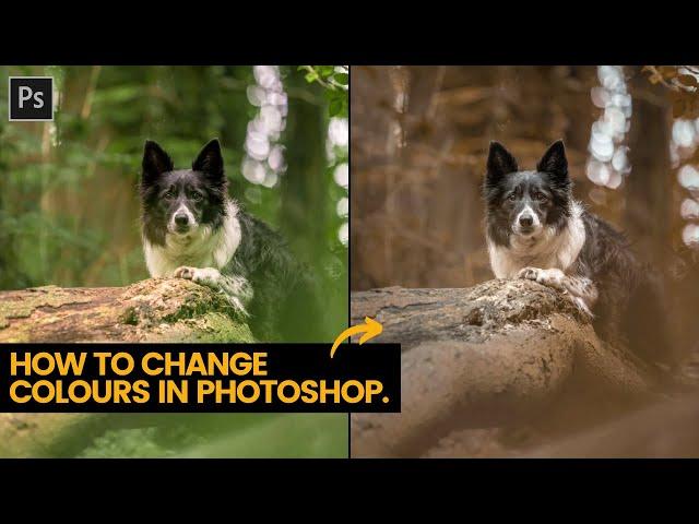 How to change colours in Photoshop - Change summer to fall in a few clicks!