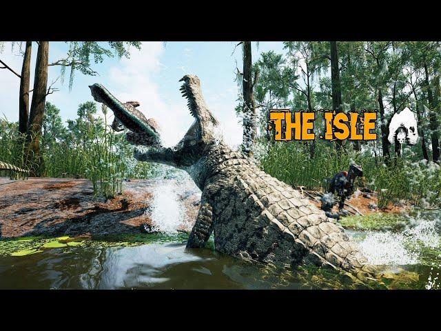 Alligator ambushes!! | Deinosuchus gameplay | The Isle Evrima