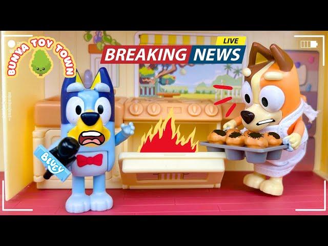 Bluey's News Show  | Fun Play with Bluey Toys | Bunya Toy Town