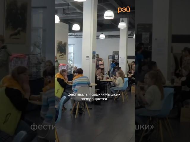 Фестиваль «Кошки-Мышки» возвращается!