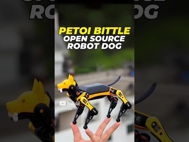 Meet Petoi Bittle: Your Own Smart Robot Dog!