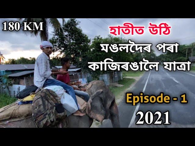 Episode - 1 : ELEPHANT SAFARI TO KAZIRANGA 2021