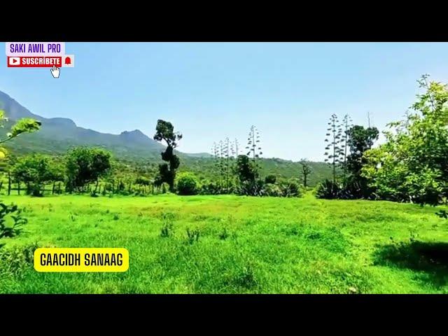 GAACIDH SANAAG  DEEGAANADA UGU QURUXDA BADAN DHULKA SOMALIDA saki awil  pro subscribe plz.