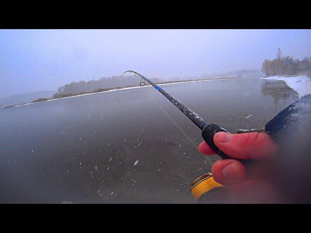 ТЕСТ НОВЕЙШЕЙ катушки SHIMANO SUSTAIN. ЩУКИ КЛЮЮТ В МЕТЕЛЬ. рыбалка на спиннинг