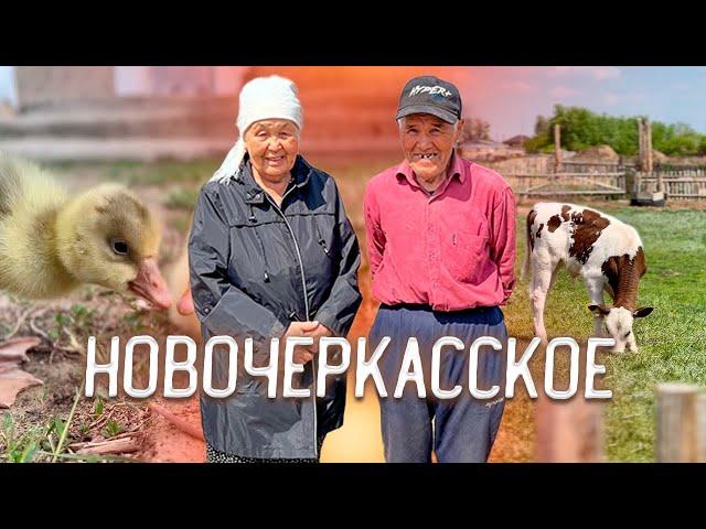 Новочеркасское. Перезагрузка для головы #казахстан #жизнь