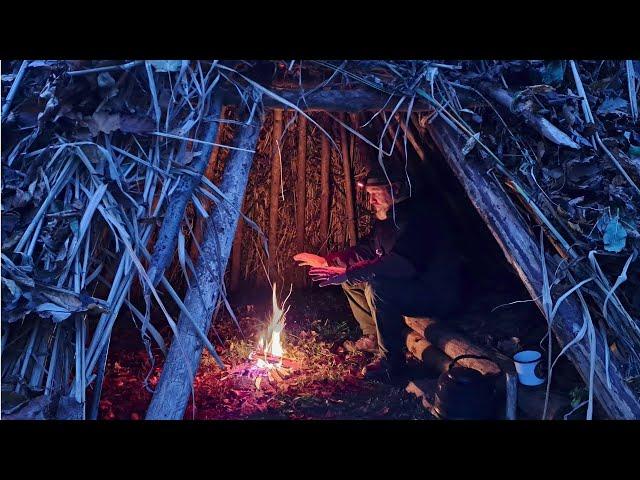 Eine Laubhütte selber bauen | Bushcraft | Survival | Herbst | Wickiup