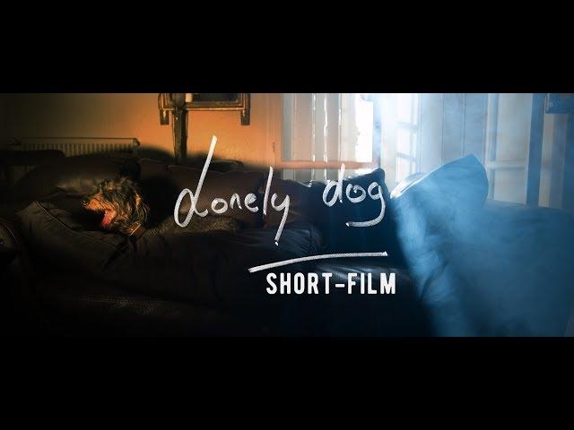 Lonely Dog - Short film