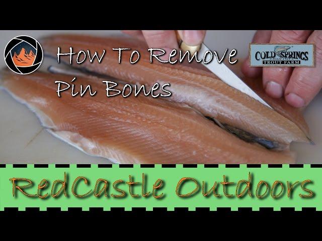 A detailed look at how to fillet a trout and remove the pin bones