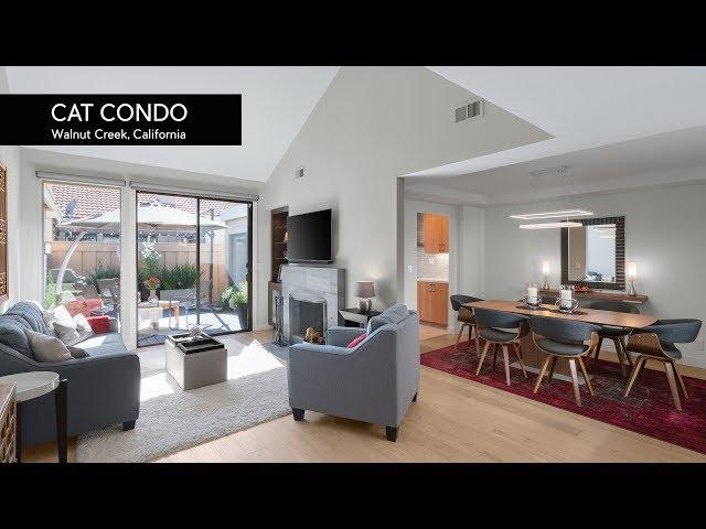 California Modern Interior Design #135 | Cat Condo (Cat House) | Walnut Creek, CA