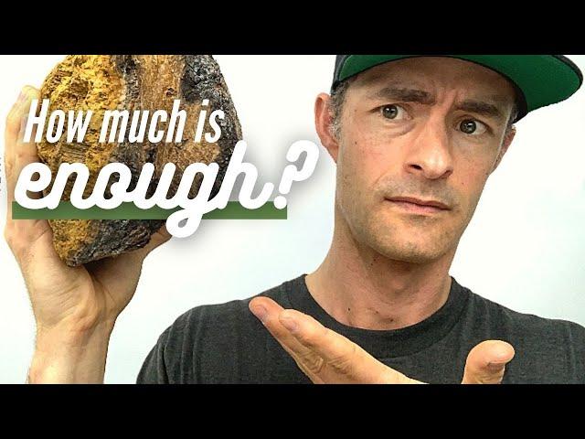 Mushroom Dosage: How Much Supplement Powder to Take