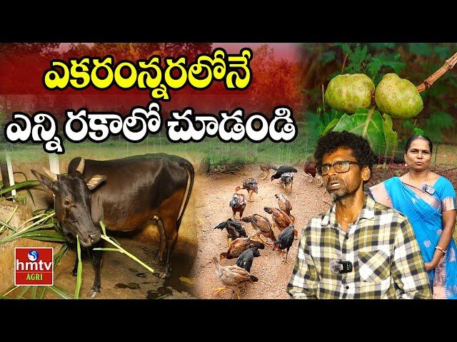 ఎకరంన్నరలోనే ఎన్నో పంటలు | Nelathalli | hmtv Agri