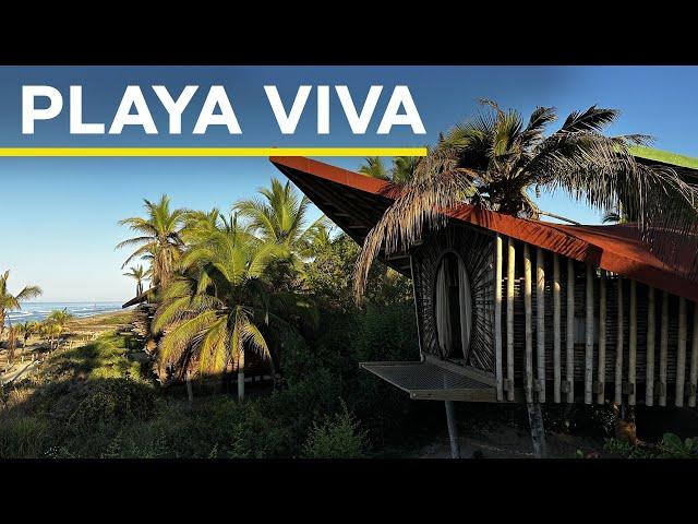 Why I Stayed Here 2X in 1 Year: Inside Playa Viva