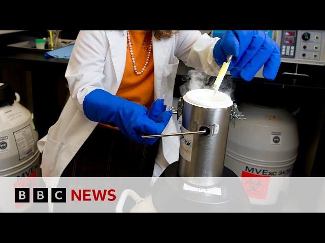 Egg freezing patients ‘misled’ by clinics | BBC News