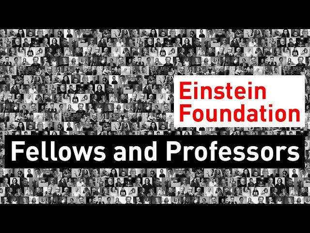 Fellows and professors of the Einstein Foundation Berlin