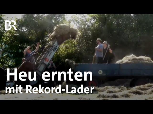 Zeitreise auf dem Acker: Ernten mit dem "Rekord"-Lader | Historische Heuernte | Frankenschau | BR