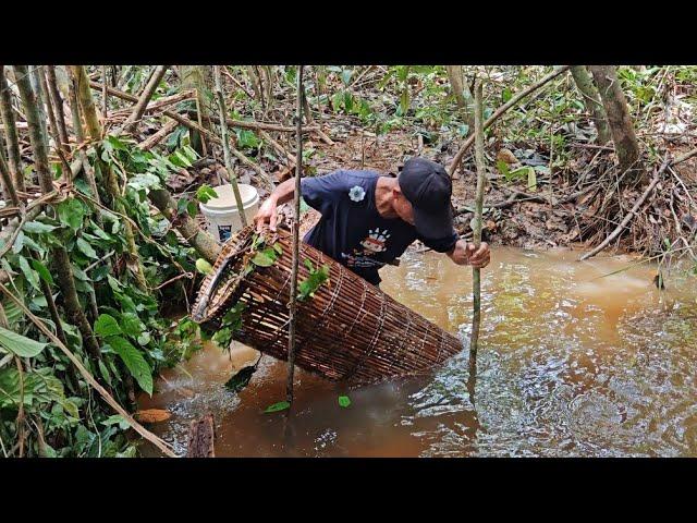 CEK BUBU YANG DI PASANG SEMALAM // PETANDA YANG SANGAT BAIK ADA IKAN DI SPOT YANG BARU //