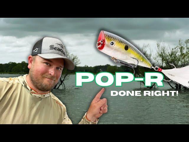 MOST Anglers Don’t Fish A POP-R Correctly!!  Try This PROVEN Retrieve!