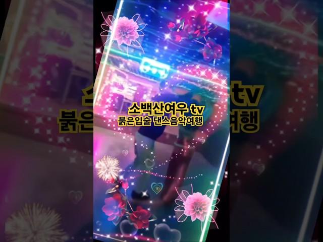 #나훈아 #붉은입술 #나무 #사교댄스 #소백산여우#바다 #오징어게임 #하이라이트댄스시언#색소폰연주#유튜브#팅글#바카라#손영식댄스#시저댄스 #강남신사강 #청춘댄스#트로트 #트롯