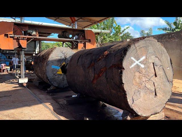 Giant Wood Processing Factory Operating At Full Capacity // Cutting Rare Rosewood