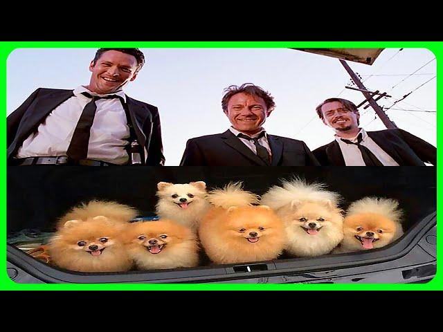 Reservoir dogs explained by an idiot