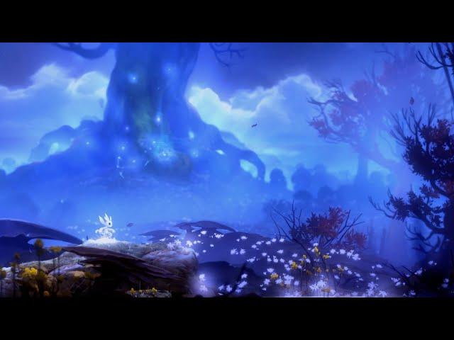 Relax to Ori and the Blind Forest - Calm Forest Music and Ambience